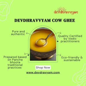 Cow Ghee