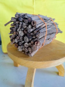 ചമത പ്ലാശ് (101 No. )