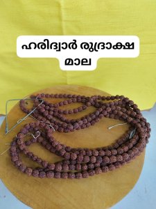 ഹരിദ്വാർ രുദ്രാക്ഷ മാല ബിഗ്