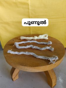 പൂണൂൽ