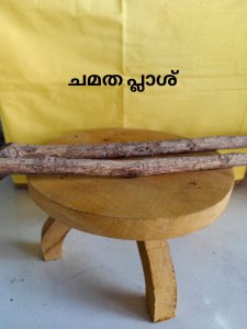ചമത പ്ലാശ് (1കോൽ
