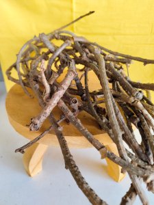 ചമത - അമൃത വള്ളി (144 No.)