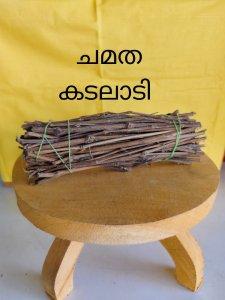 ചമത - കടലാടി (101 No.)