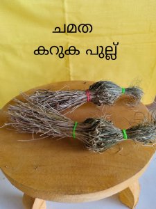 ചമത - കറുക പുല്ല് | (101 No.)