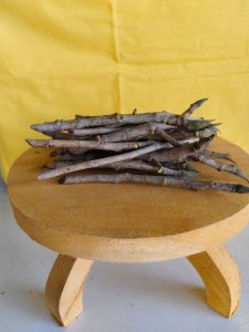 ചമത - പേരാൽ മൊട്ട്