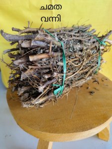 ചമത - വന്നി (101 No.)